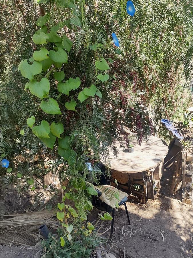 Nuevovalpo Hillside Homestay 산티아고 외부 사진